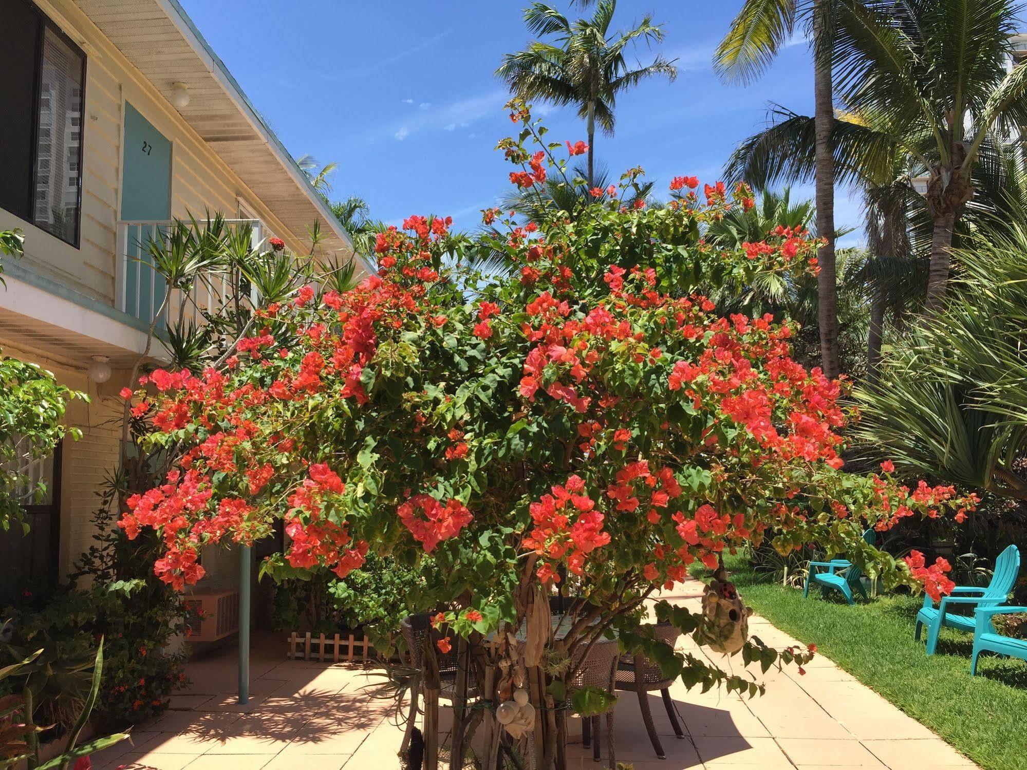 Sea Cove Motel Pompano Beach Exteriör bild